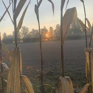 Meet your Posher, Terry